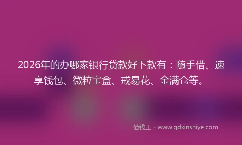 2026年的办哪家银行贷款好下款有：随手借、速享钱包、微粒宝盒、戒易花、金满仓等。