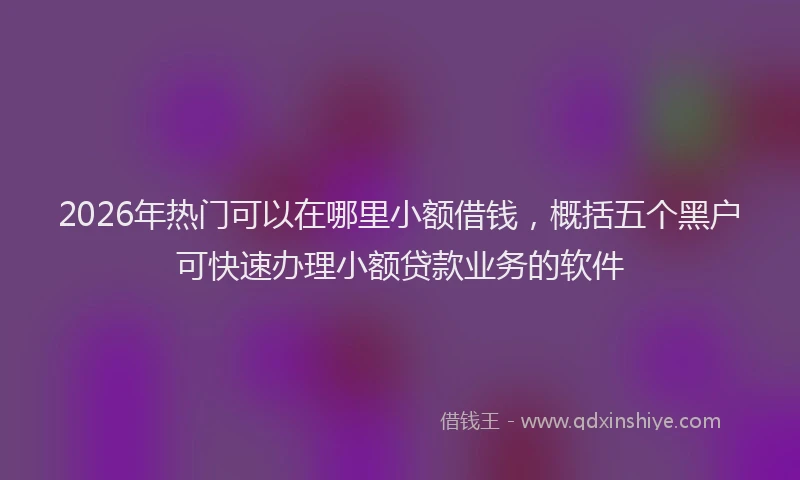 2026年热门可以在哪里小额借钱，概括五个黑户可快速办理小额贷款业务的软件
