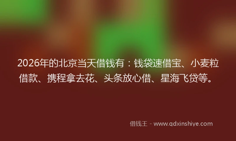 2026年的北京当天借钱有：钱袋速借宝、小麦粒借款、携程拿去花、头条放心借、星海飞贷等。