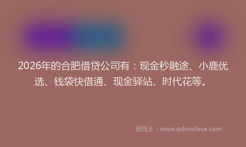 2026年的合肥借贷公司有：现金秒融途、小鹿优选、钱袋快借通、现金驿站、时代花等。