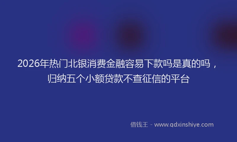 2026年热门北银消费金融容易下款吗是真的吗，归纳五个小额贷款不查征信的平台