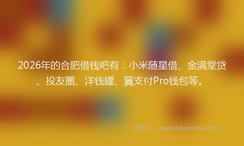 2026年的合肥借钱吧有：小米随星借、金满堂贷、投友圈、洋钱罐、翼支付Pro钱包等。