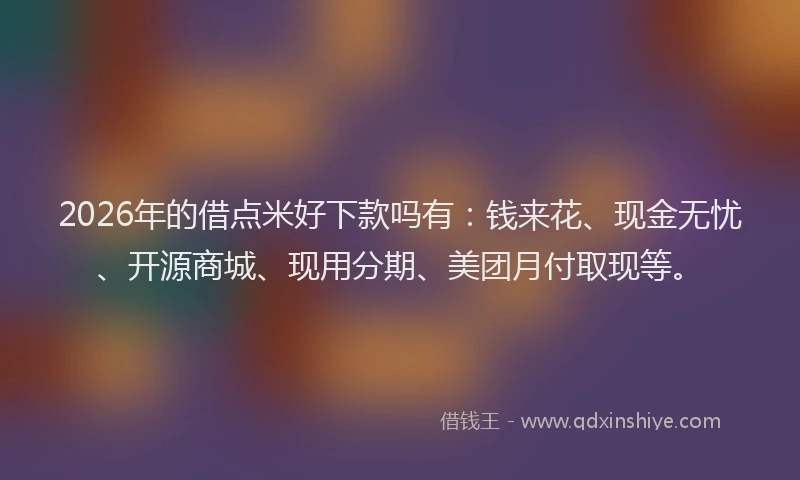 2026年的借点米好下款吗有：钱来花、现金无忧、开源商城、现用分期、美团月付取现等。
