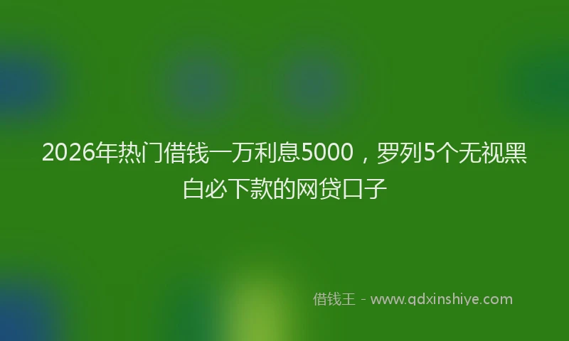 2026年热门借钱一万利息5000，罗列5个无视黑白必下款的网贷口子