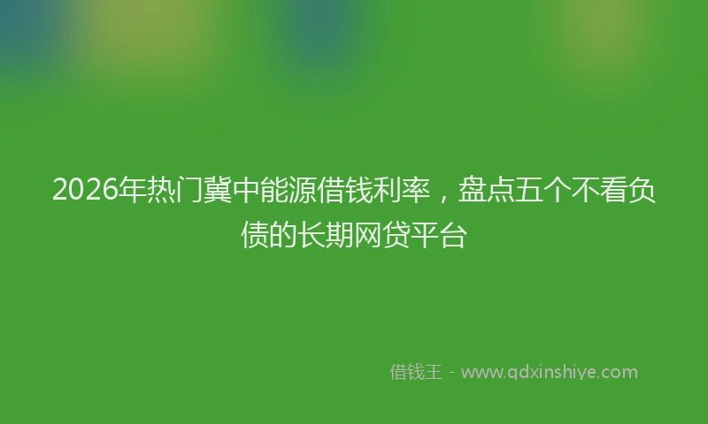 2026年热门冀中能源借钱利率，盘点五个不看负债的长期网贷平台