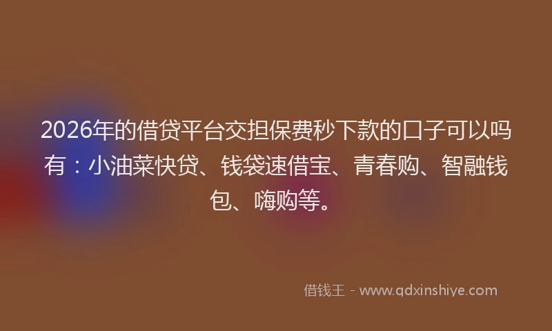 2026年的借贷平台交担保费秒下款的口子可以吗有：小油菜快贷、钱袋速借宝、青春购、智融钱包、嗨购等。
