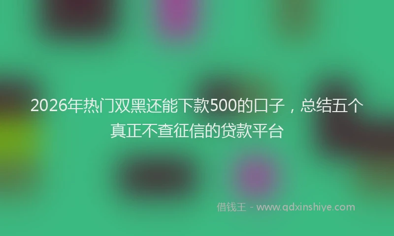 2026年热门双黑还能下款500的口子，总结五个真正不查征信的贷款平台