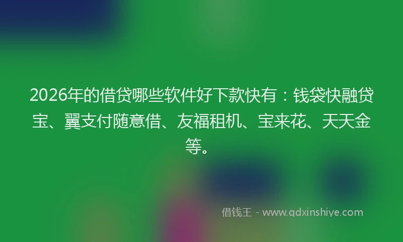 2026年的借贷哪些软件好下款快有：钱袋快融贷宝、翼支付随意借、友福租机、宝来花、天天金等。