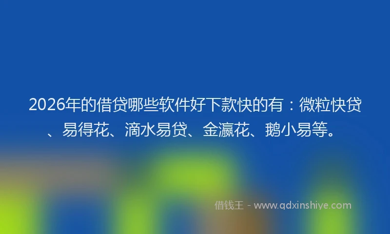 2026年的借贷哪些软件好下款快的有：微粒快贷、易得花、滴水易贷、金瀛花、鹅小易等。