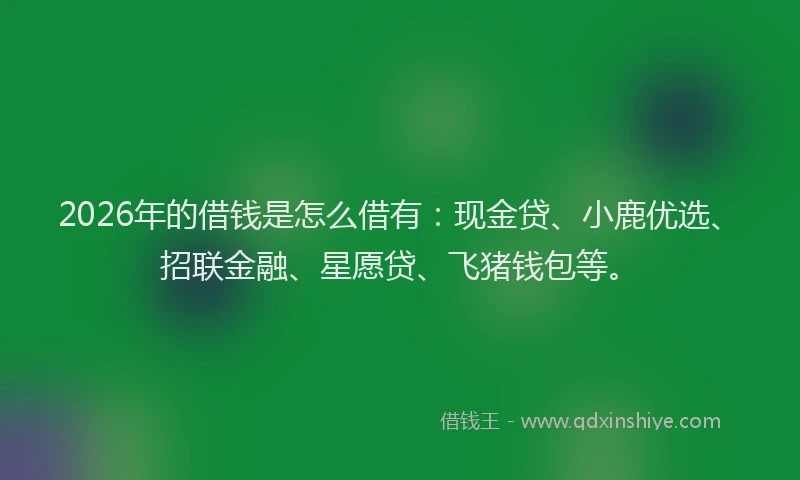 2026年的借钱是怎么借有：现金贷、小鹿优选、招联金融、星愿贷、飞猪钱包等。