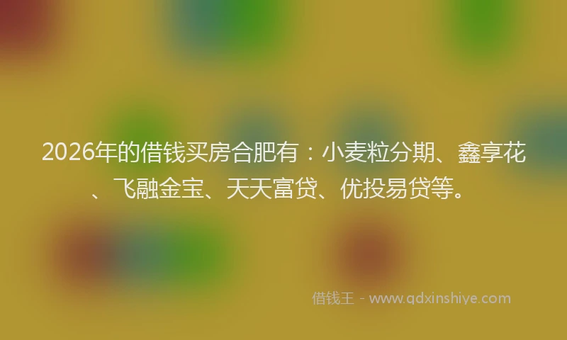 2026年的借钱买房合肥有：小麦粒分期、鑫享花、飞融金宝、天天富贷、优投易贷等。