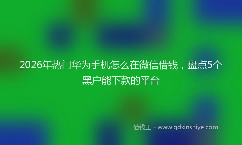 2026年热门华为手机怎么在微信借钱，盘点5个黑户能下款的平台