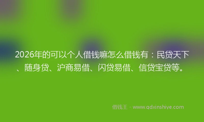2026年的可以个人借钱嘛怎么借钱有：民贷天下、随身贷、沪商易借、闪贷易借、信贷宝贷等。