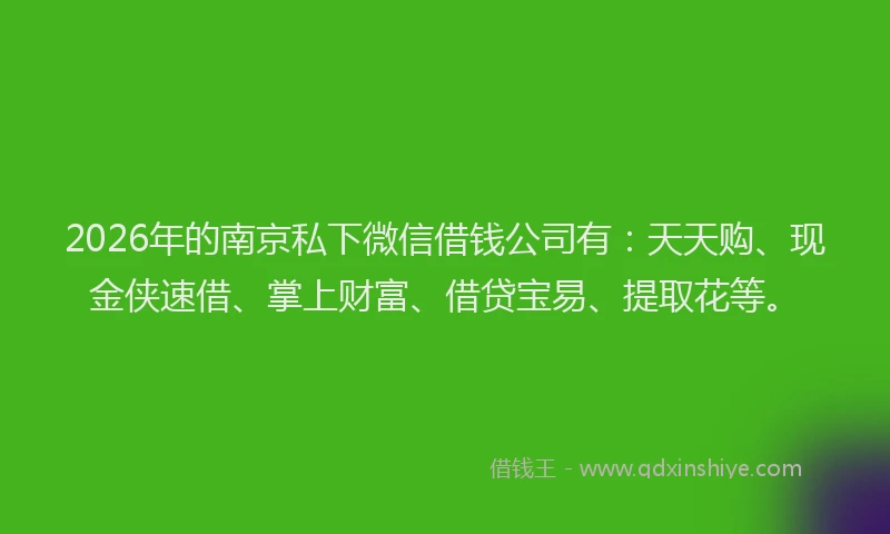 2026年的南京私下微信借钱公司有：天天购、现金侠速借、掌上财富、借贷宝易、提取花等。