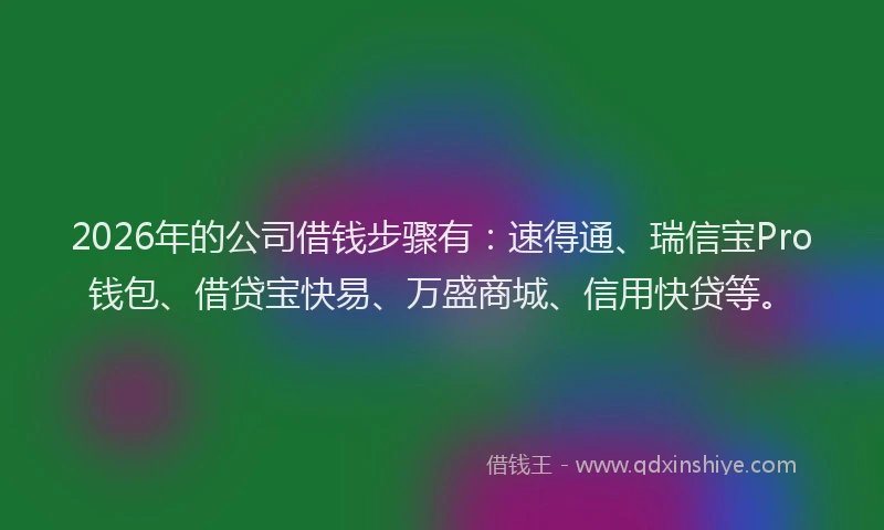 2026年的公司借钱步骤有：速得通、瑞信宝Pro钱包、借贷宝快易、万盛商城、信用快贷等。