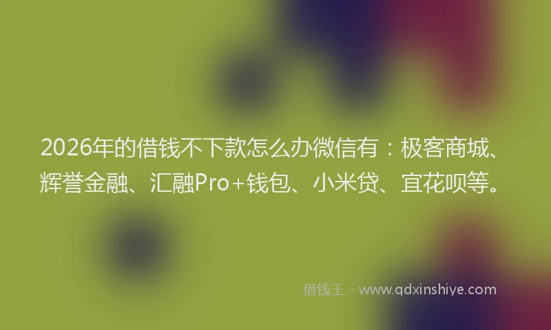 2026年的借钱不下款怎么办微信有：极客商城、辉誉金融、汇融Pro+钱包、小米贷、宜花呗等。