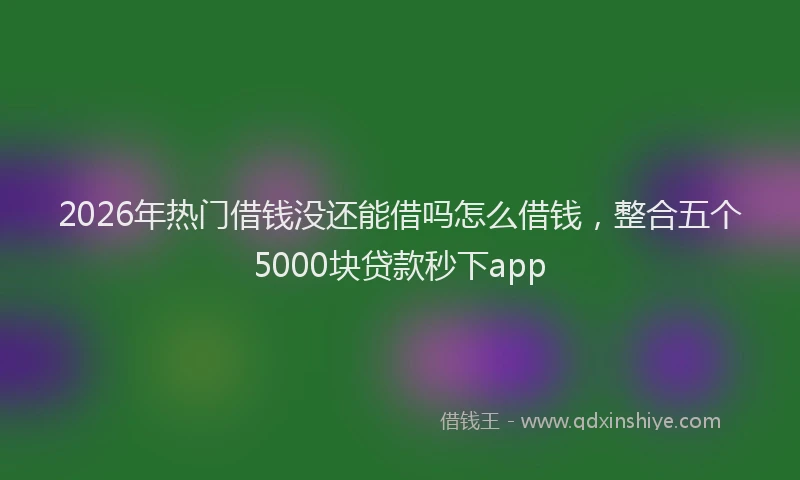 2026年热门借钱没还能借吗怎么借钱，整合五个5000块贷款秒下app