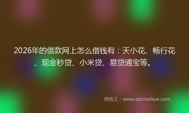 2026年的借款网上怎么借钱有：天小花、畅行花、现金秒贷、小米贷、易贷通宝等。