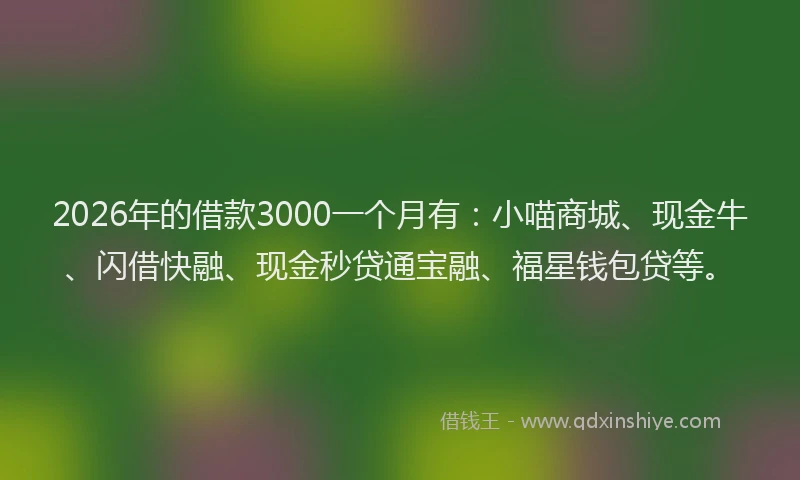 2026年的借款3000一个月有：小喵商城、现金牛、闪借快融、现金秒贷通宝融、福星钱包贷等。
