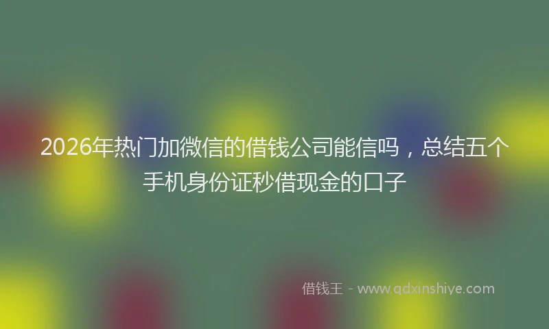 2026年热门加微信的借钱公司能信吗，总结五个手机身份证秒借现金的口子