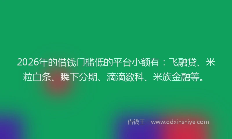 2026年的借钱门槛低的平台小额有：飞融贷、米粒白条、瞬下分期、滴滴数科、米族金融等。
