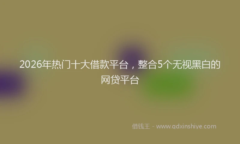 2026年热门十大借款平台，整合5个无视黑白的网贷平台