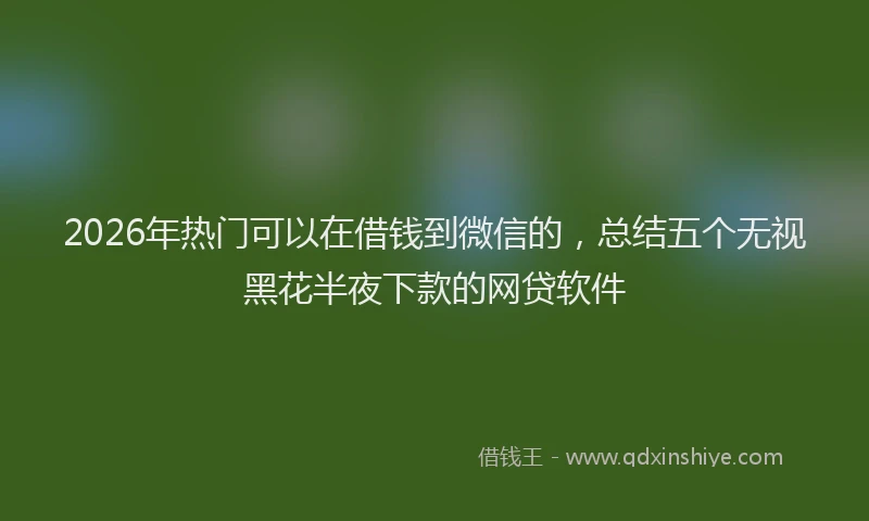 2026年热门可以在借钱到微信的，总结五个无视黑花半夜下款的网贷软件