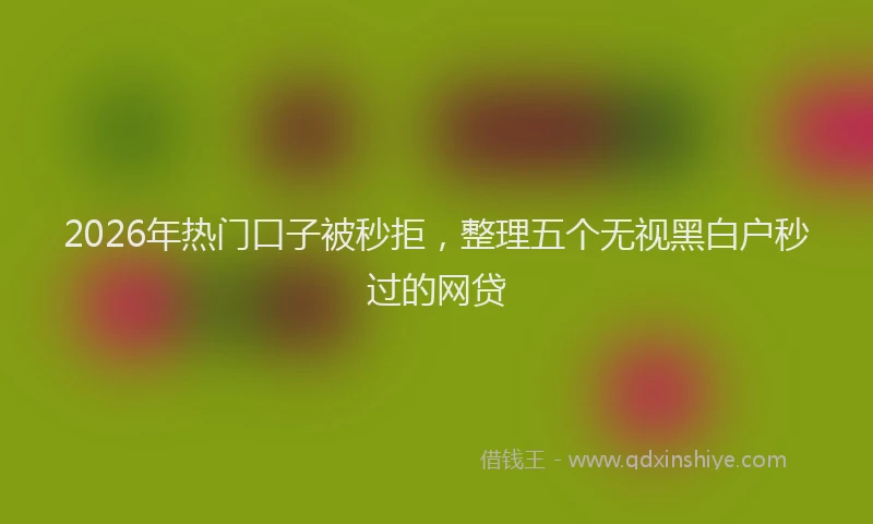 2026年热门口子被秒拒，整理五个无视黑白户秒过的网贷