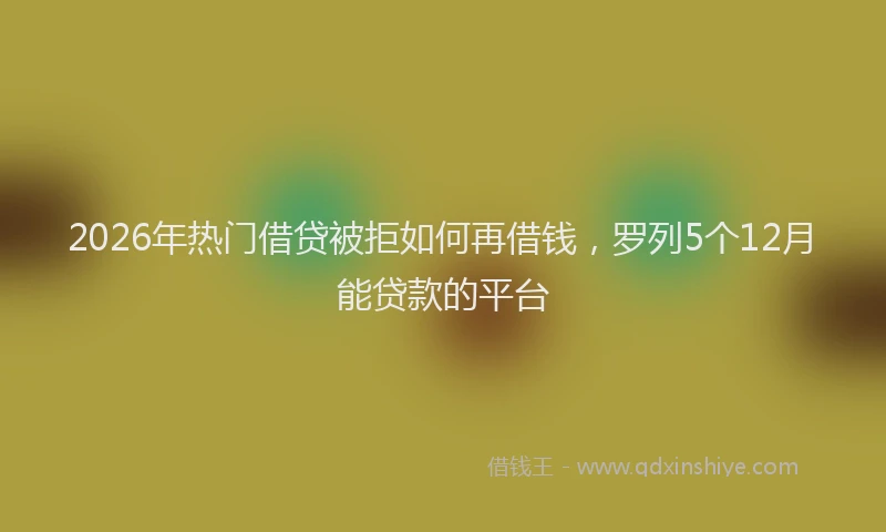 2026年热门借贷被拒如何再借钱，罗列5个12月能贷款的平台