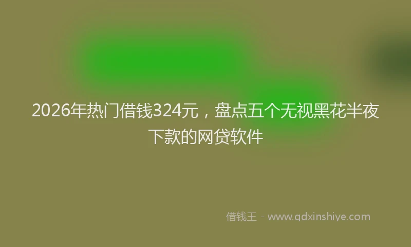 2026年热门借钱324元，盘点五个无视黑花半夜下款的网贷软件