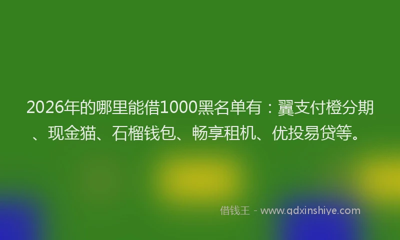 2026年的哪里能借1000黑名单有：翼支付橙分期、现金猫、石榴钱包、畅享租机、优投易贷等。
