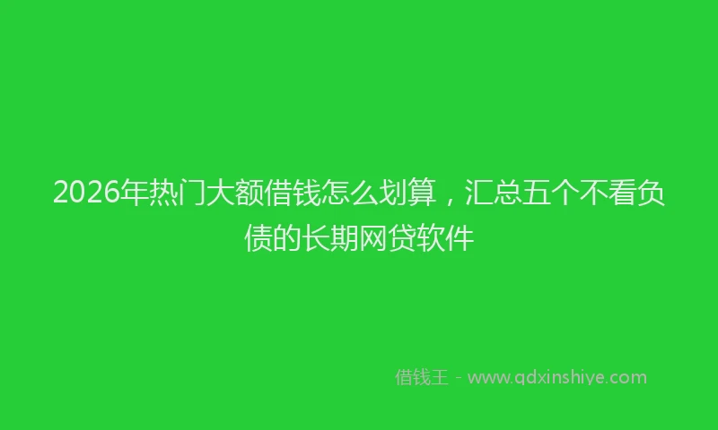 2026年热门大额借钱怎么划算，汇总五个不看负债的长期网贷软件