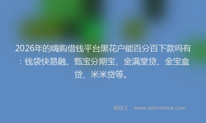 2026年的嗨购借钱平台黑花户能百分百下款吗有：钱袋快易融、甄宝分期宝、金满堂贷、金宝盒贷、米米贷等。