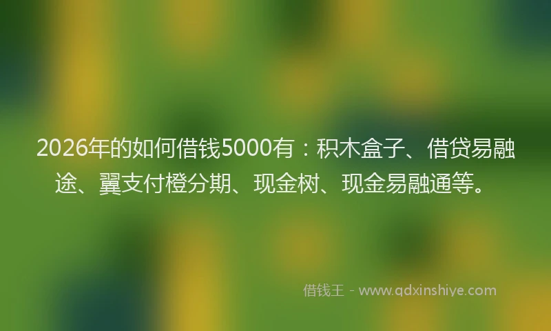 2026年的如何借钱5000有：积木盒子、借贷易融途、翼支付橙分期、现金树、现金易融通等。