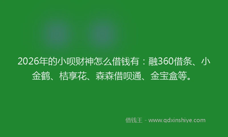 2026年的小呗财神怎么借钱有：融360借条、小金鹤、桔享花、森森借呗通、金宝盒等。