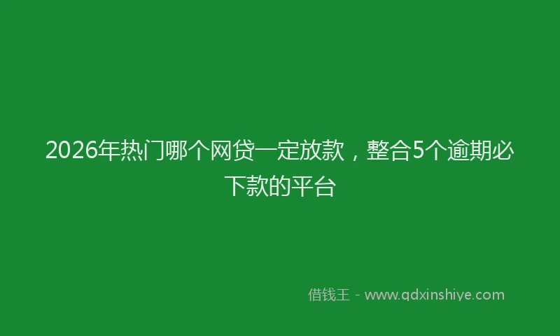 2026年热门哪个网贷一定放款，整合5个逾期必下款的平台