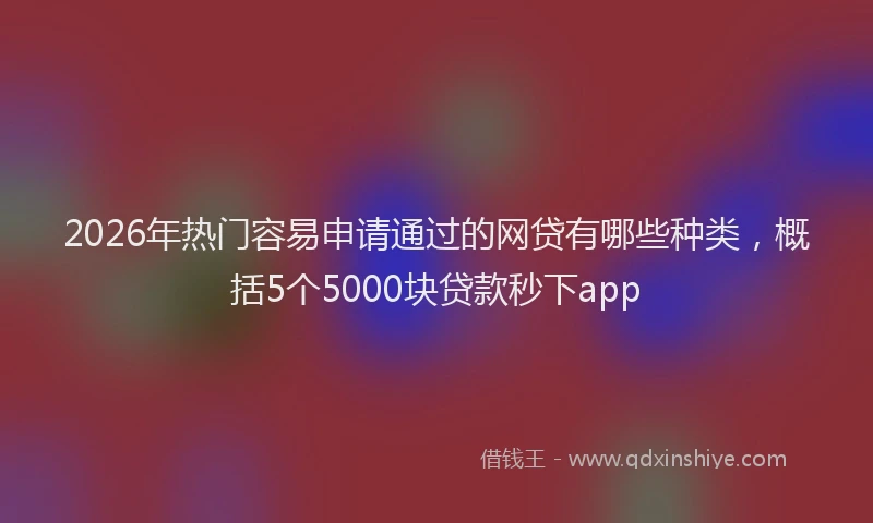2026年热门容易申请通过的网贷有哪些种类,概括5个5000块贷款秒下app