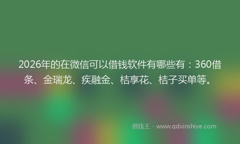 2026年的在微信可以借钱软件有哪些有：360借条、金瑞龙、疾融金、桔享花、桔子买单等。