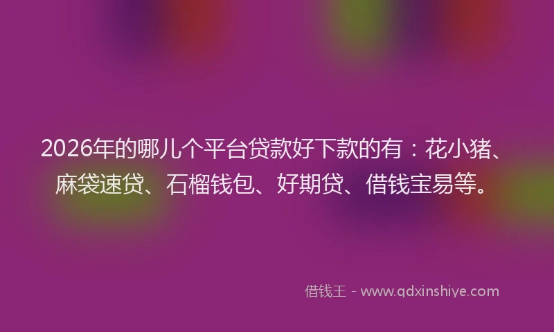 2026年的哪儿个平台贷款好下款的有：花小猪、麻袋速贷、石榴钱包、好期贷、借钱宝易等。