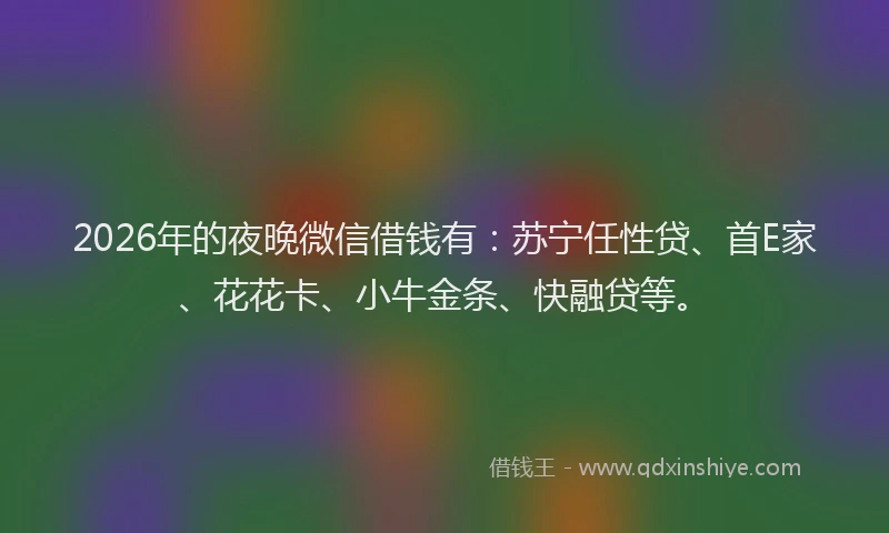 2026年的夜晚微信借钱有：苏宁任性贷、首E家、花花卡、小牛金条、快融贷等。