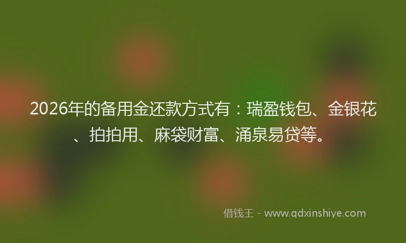2026年的备用金还款方式有：瑞盈钱包、金银花、拍拍用、麻袋财富、涌泉易贷等。