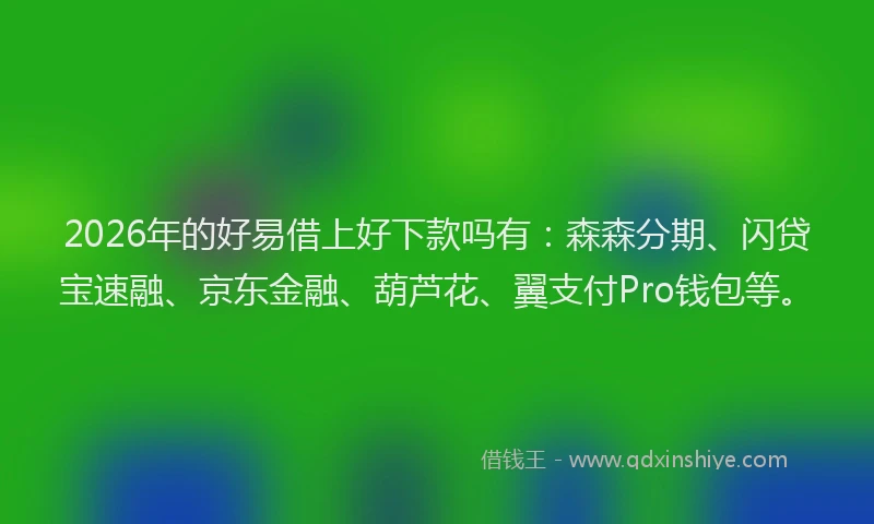 2026年的好易借上好下款吗有：森森分期、闪贷宝速融、京东金融、葫芦花、翼支付Pro钱包等。