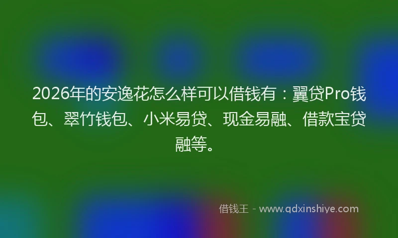 2026年的安逸花怎么样可以借钱有：翼贷Pro钱包、翠竹钱包、小米易贷、现金易融、借款宝贷融等。