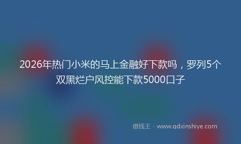 2026年热门小米的马上金融好下款吗，罗列5个双黑烂户风控能下款5000口子