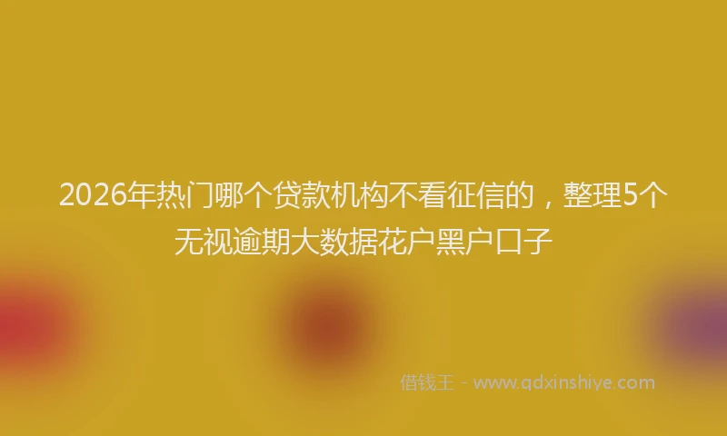 2026年热门哪个贷款机构不看征信的，整理5个无视逾期大数据花户黑户口子