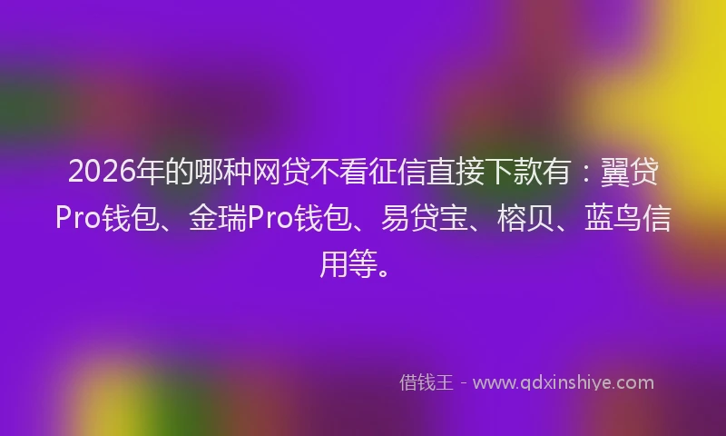 2026年的哪种网贷不看征信直接下款有：翼贷Pro钱包、金瑞Pro钱包、易贷宝、榕贝、蓝鸟信用等。