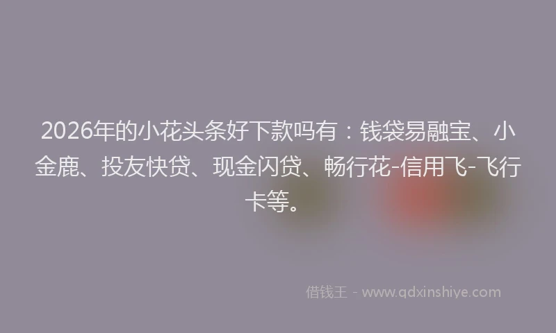 2026年的小花头条好下款吗有：钱袋易融宝、小金鹿、投友快贷、现金闪贷、畅行花-信用飞-飞行卡等。