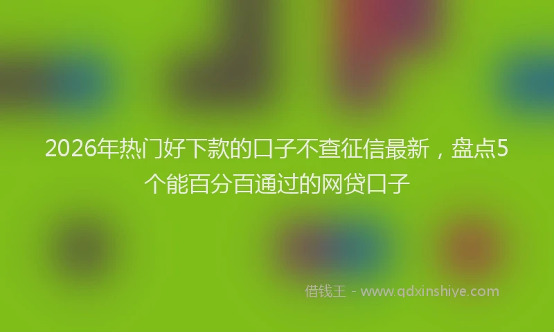 2026年热门好下款的口子不查征信最新，盘点5个能百分百通过的网贷口子