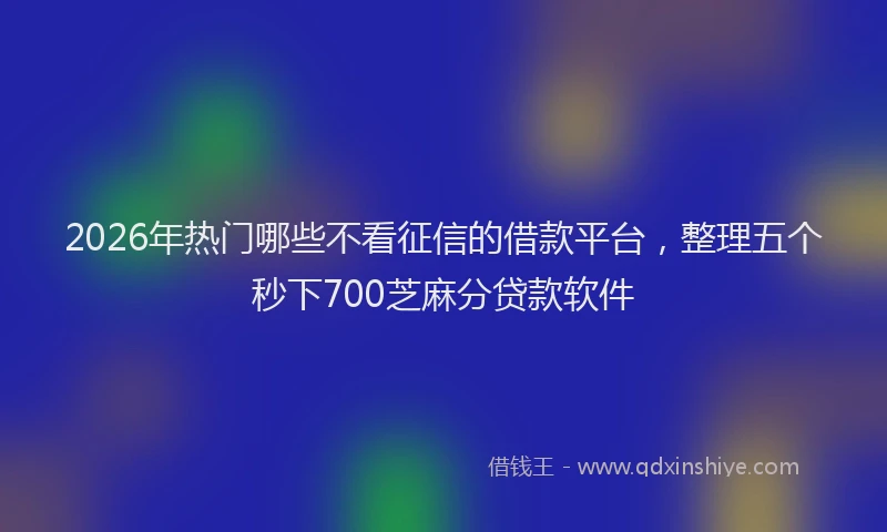 2026年热门哪些不看征信的借款平台，整理五个秒下700芝麻分贷款软件