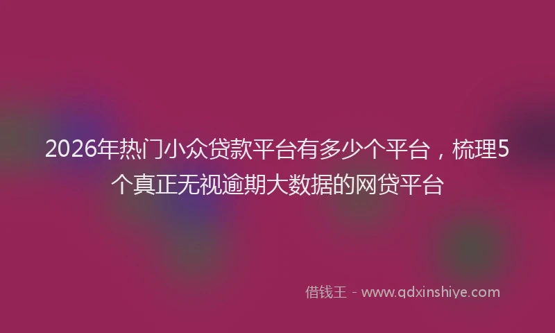 2026年热门小众贷款平台有多少个平台，梳理5个真正无视逾期大数据的网贷平台